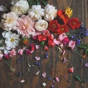 Meet your Posher, Heba